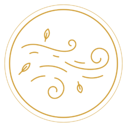 04 Refreshing Fragrance Icons