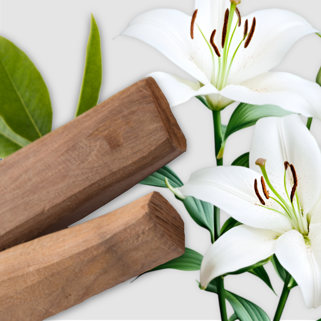 04 Sandalwood & Lily Image JPG