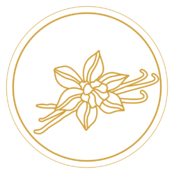 05 Vanilla Fragrance Icons