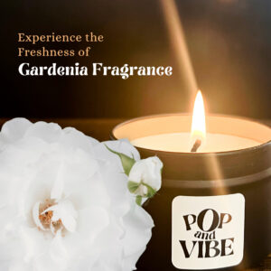 01 Gardenia feature Image