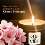 02 Cherry Blossoms feature Image