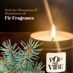 06 Fir feature Image