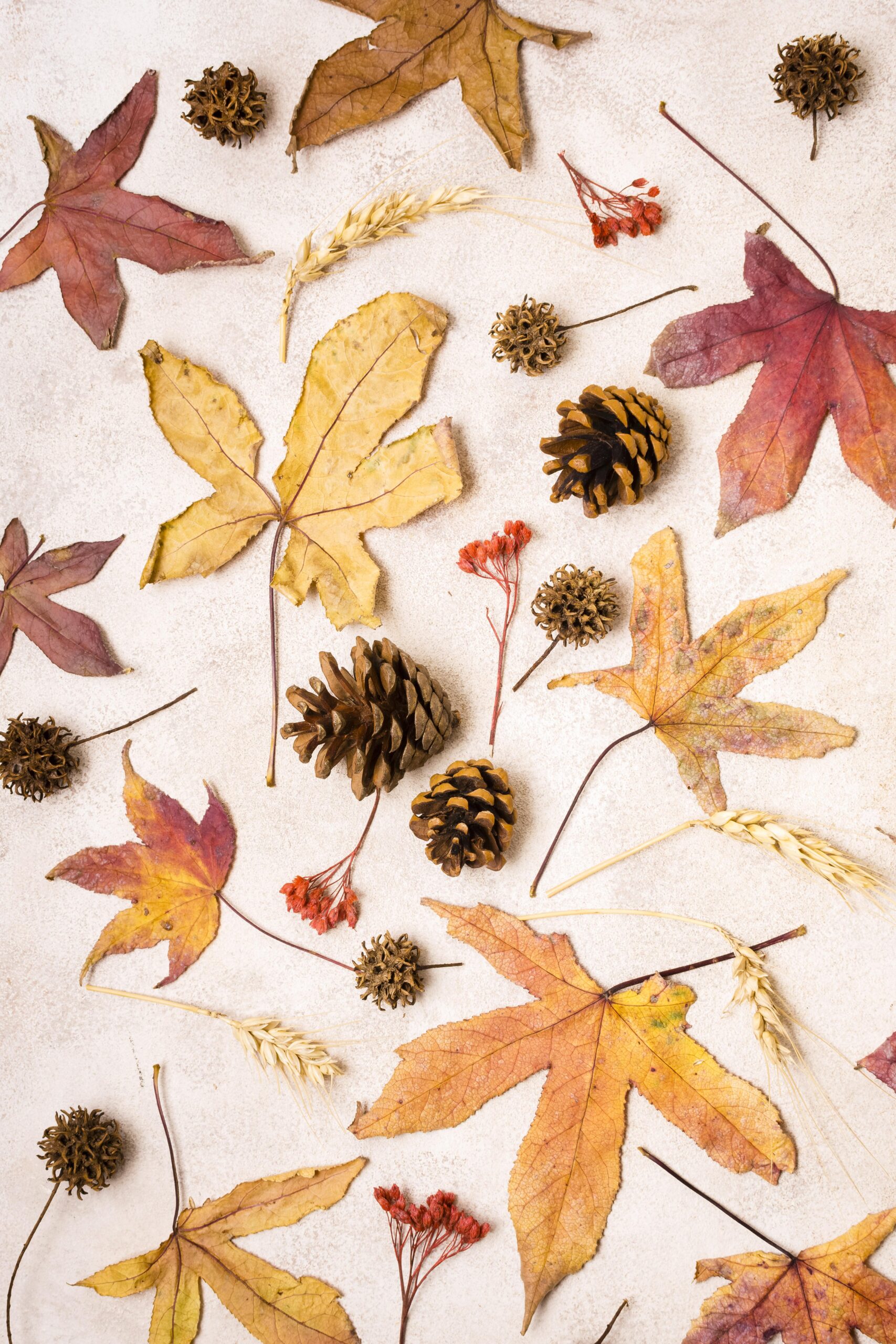 Autumn Blog feature Image